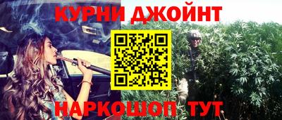 стаф Донской