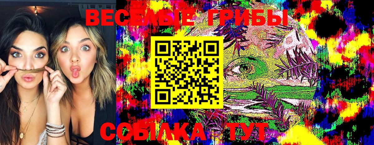 Псилоцибиновые грибы MAGIC MUSHROOMS  Псилоцибиновые грибы MAGIC MUSHROOMS  Вход с VPN  Лыткарино 